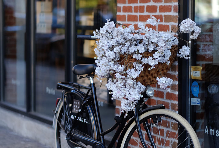 C&C Travels: A day in NYC